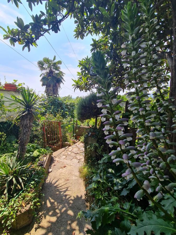 רייקה Studio Apartman Karla מראה חיצוני תמונה